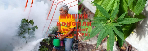 каннабис Верея